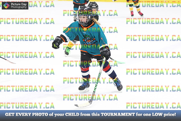 2026-02-14-AS029564
