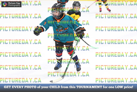 2026-02-14-AS029565
