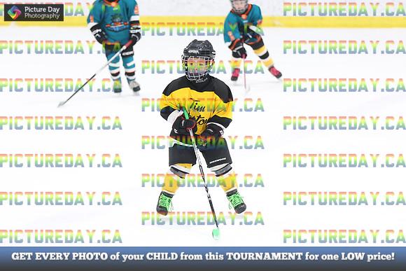 2026-02-14-AS029566