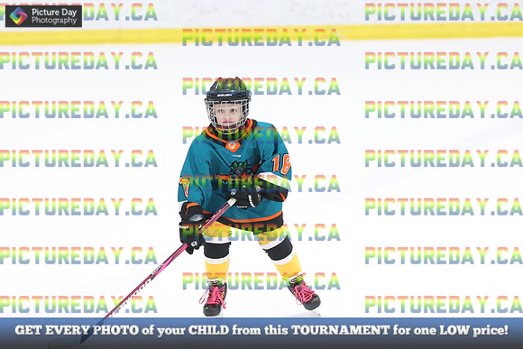 2026-02-14-AS029569
