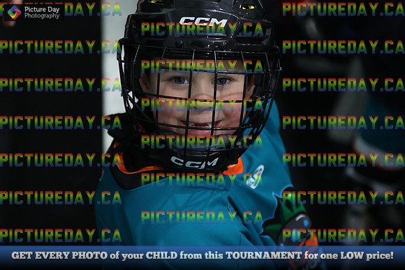 2026-02-14-AS029573