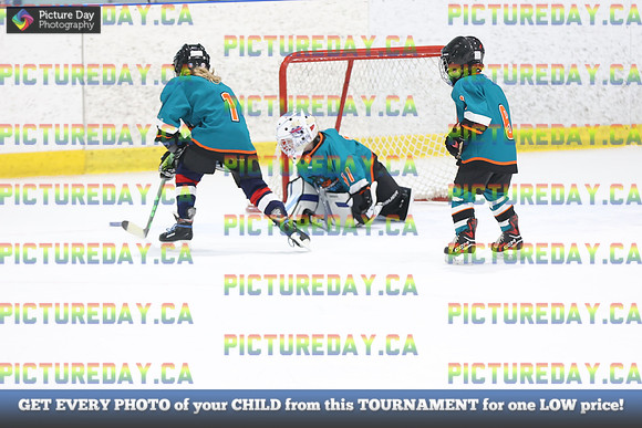 2026-02-14-AS029585