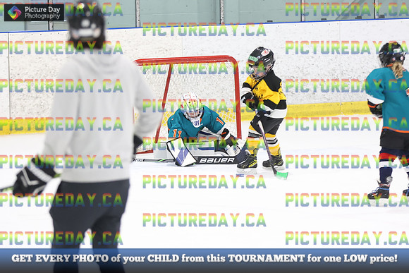 2026-02-14-AS029582