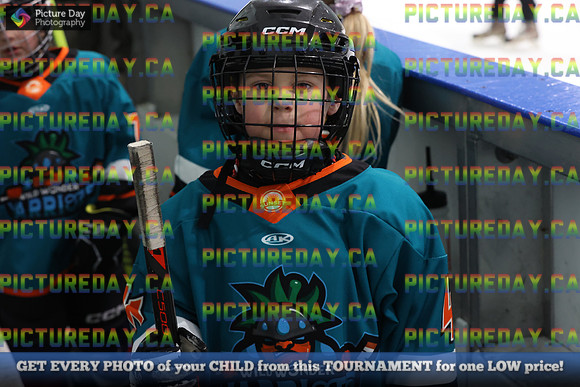 2026-02-14-AS029574