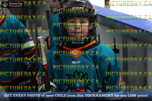 2026-02-14-AS029575