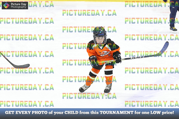 2026-02-14-AS029904