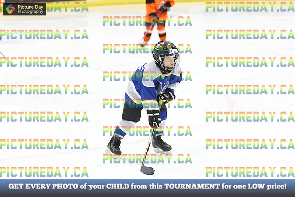 2026-02-14-AS029919