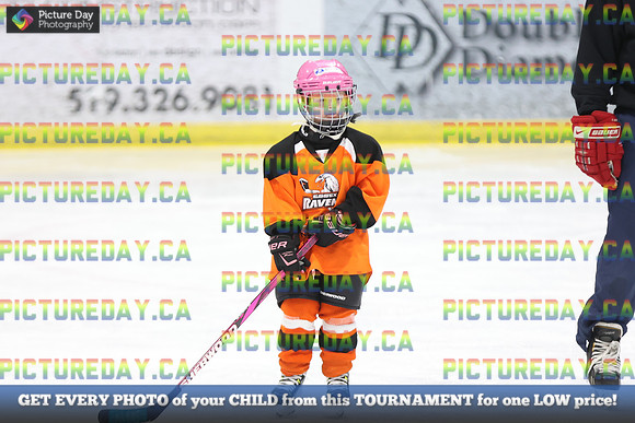 2026-02-14-AS029950