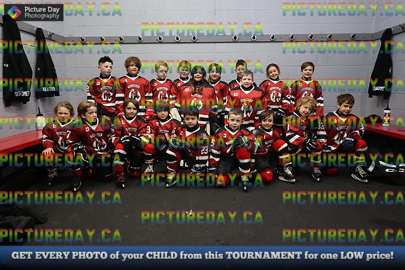 2026-02-14-AS030212