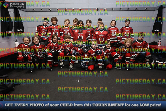 2026-02-14-AS030219