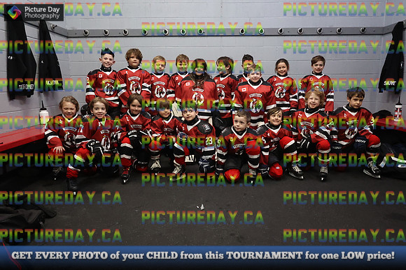 2026-02-14-AS030222