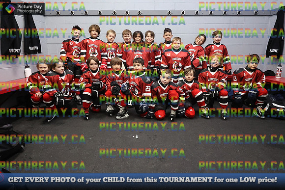 2026-02-14-AS030232