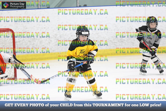 2026-02-14-AS030241