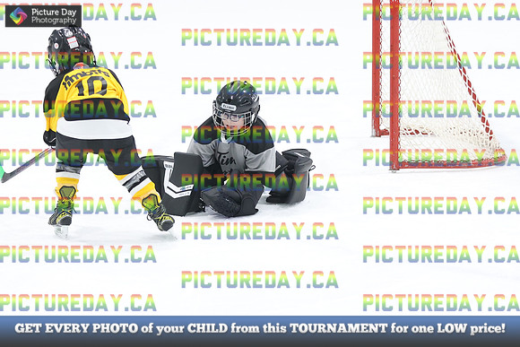 2026-02-14-AS030252