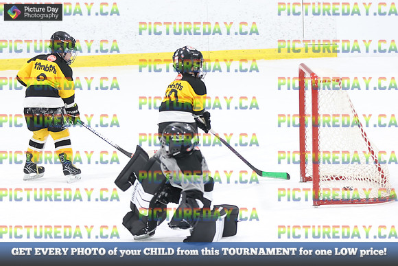 2026-02-14-AS030254
