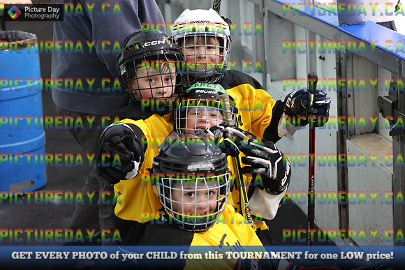 2026-02-14-AS030238