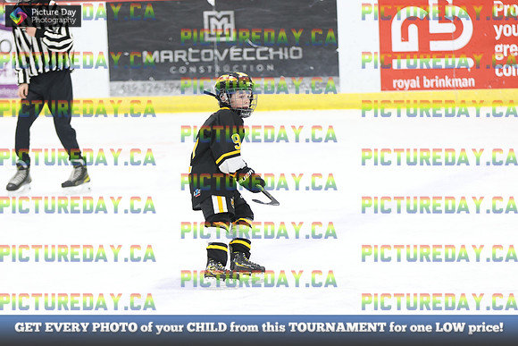 2026-02-14-AS031155