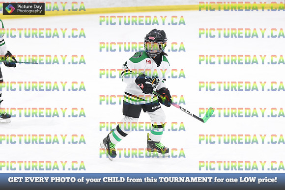 2026-02-14-AS031453