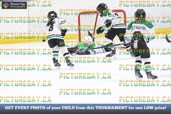 2026-02-14-AS031478