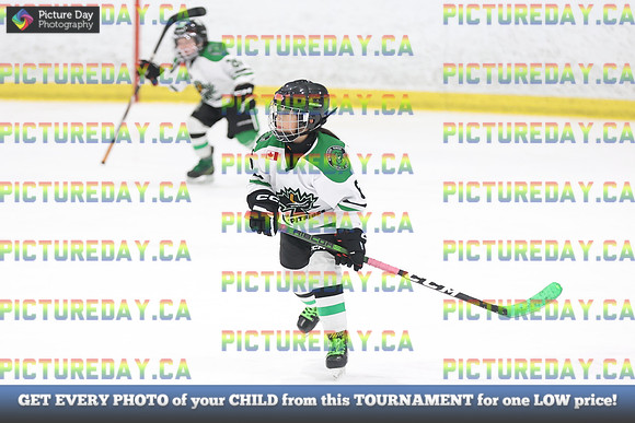 2026-02-14-AS031483