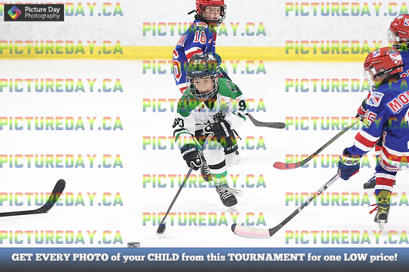 2026-02-14-AS031513