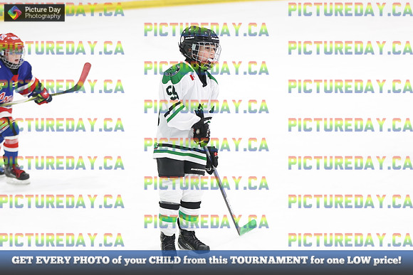 2026-02-14-AS031531