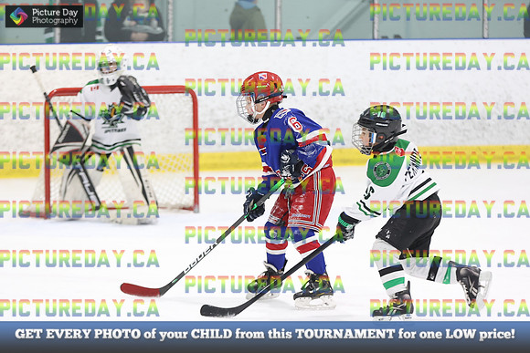 2026-02-14-AS031537