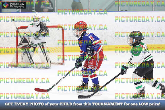 2026-02-14-AS031536