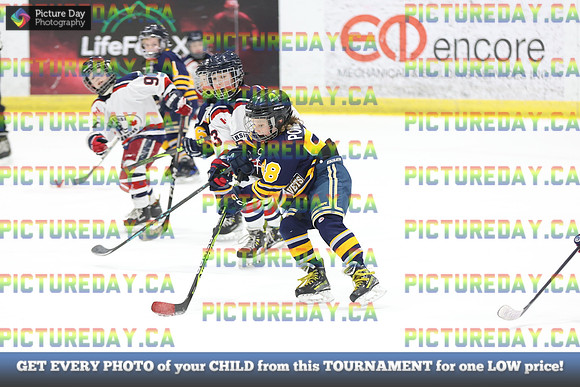 2026-02-14-AS031897