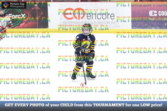 2026-02-14-AS031902