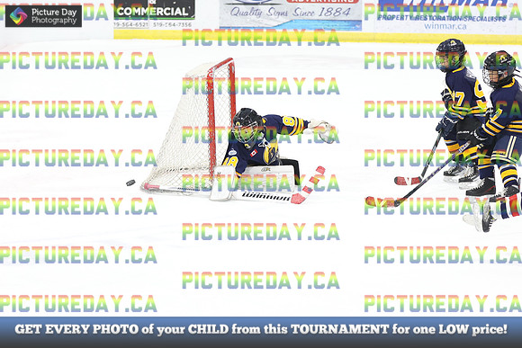 2026-02-14-AS031981