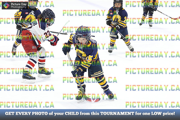 2026-02-14-AS031998