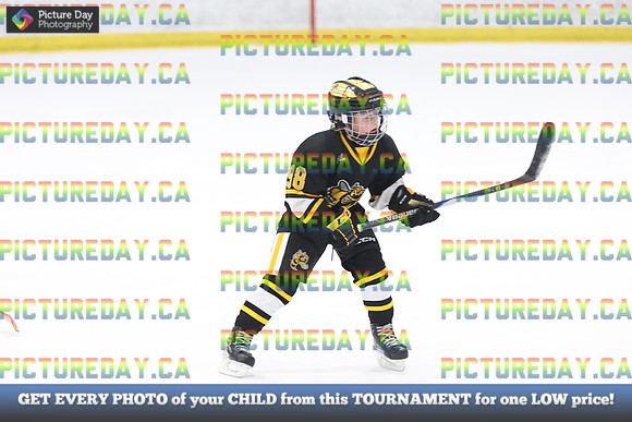 2026-02-14-AS032351