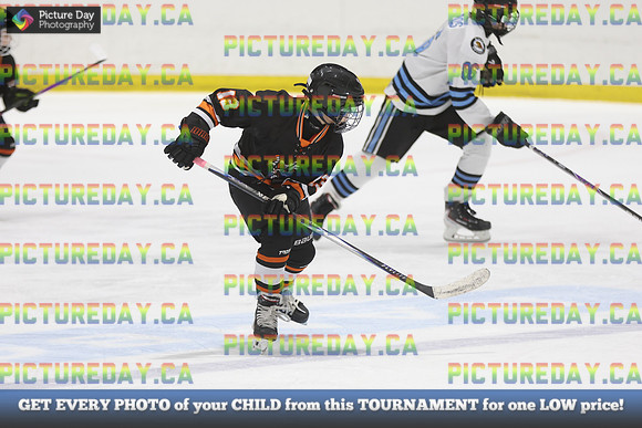 2026-02-14-TW028031