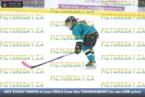 2026-02-14-AS032701