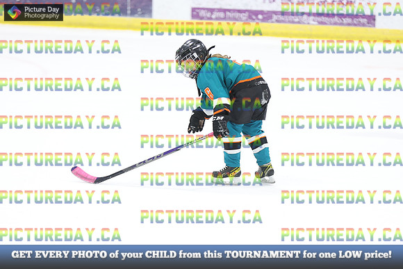 2026-02-14-AS032702