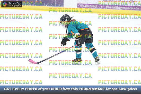 2026-02-14-AS032703