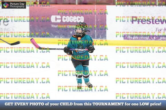 2026-02-14-AS032709