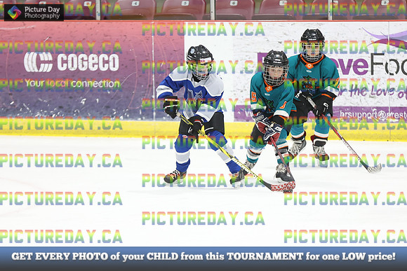 2026-02-14-AS032718