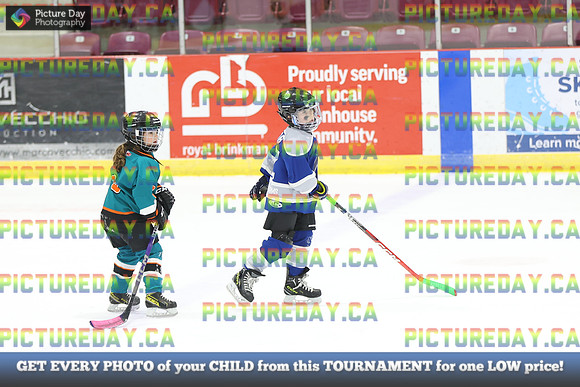 2026-02-14-AS032727