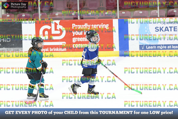 2026-02-14-AS032728