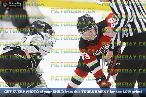 2026-02-15-TW030544