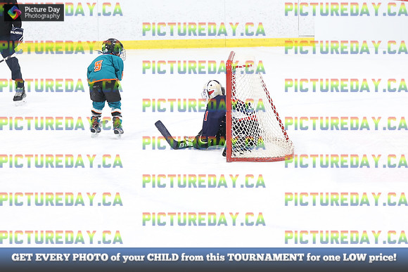 2026-02-15-AS033048