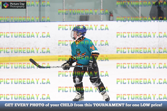 2026-02-15-AS033042