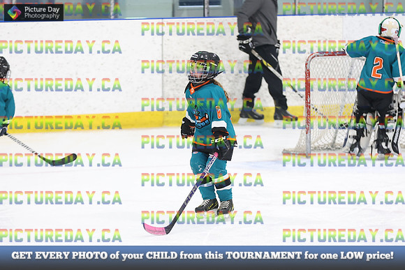2026-02-15-AS033041