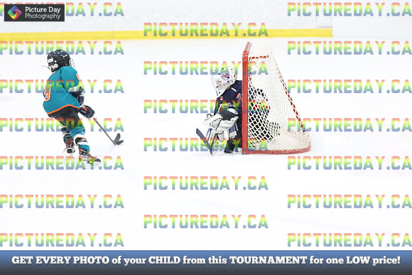 2026-02-15-AS033045