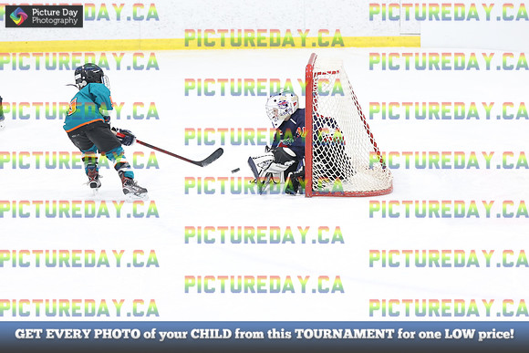 2026-02-15-AS033046