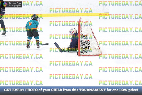 2026-02-15-AS033047