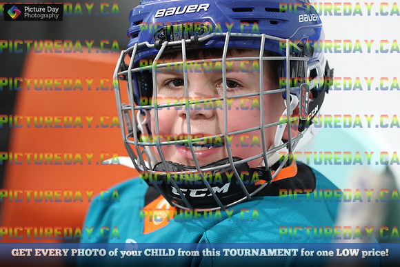 2026-02-15-AS033037