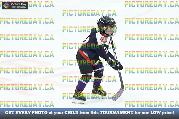 2026-02-15-AS033319